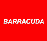 Baracuda
