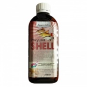 Сироп (ракушка)